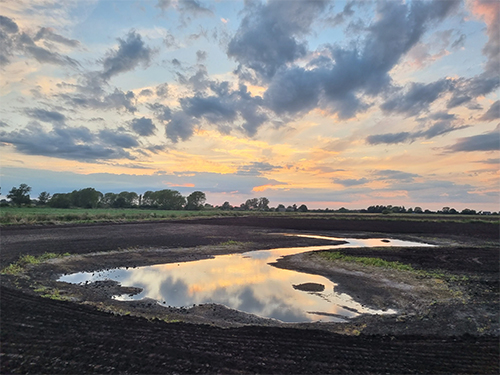 Oxwillow farmland