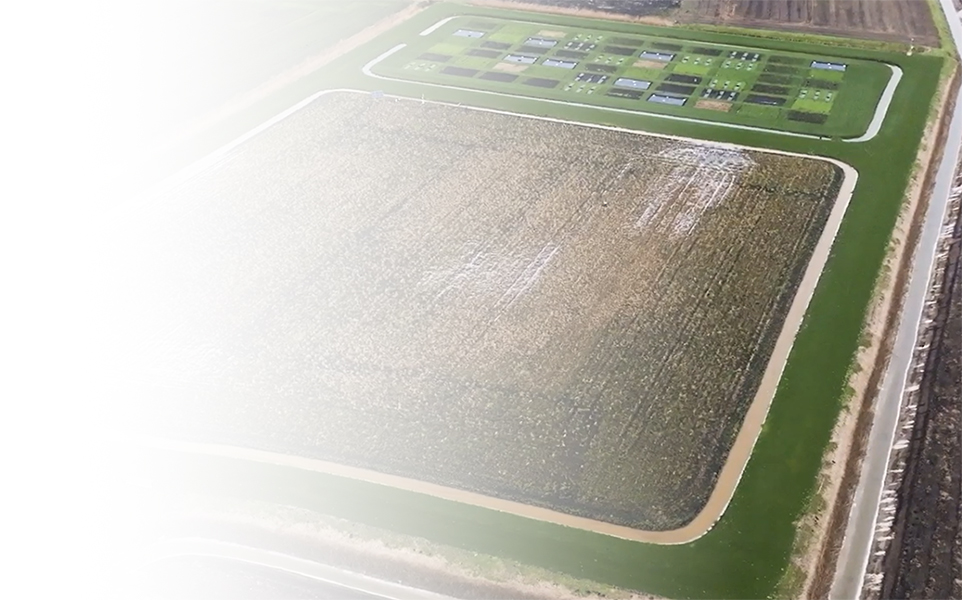 Aerial view of Oxwillow habitat bank showing ponds, hedgerows and species-rich grassland