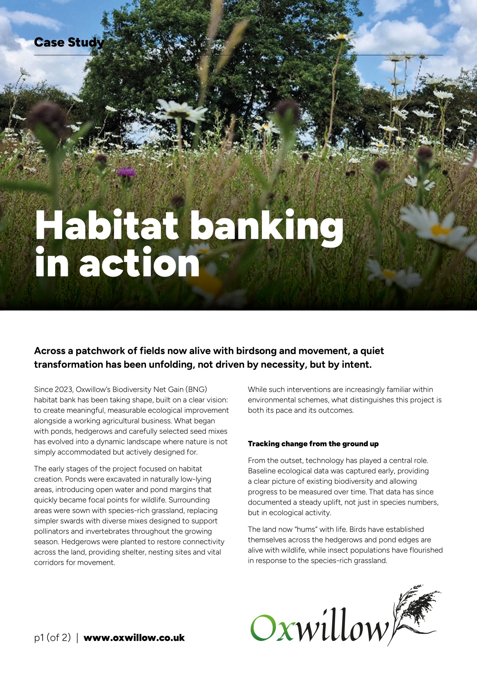 Oxwillow Biodiversity Net Gain Case Study - Habitat banking in action