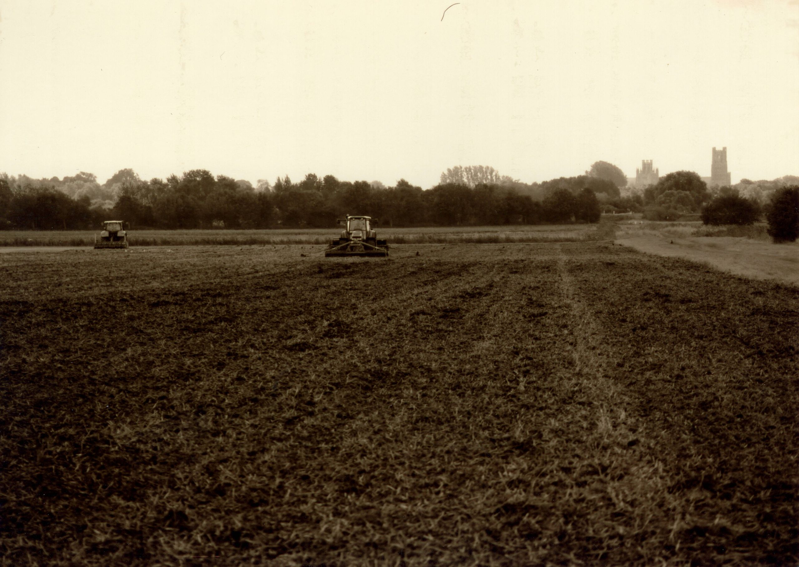 Oxwillow heritage